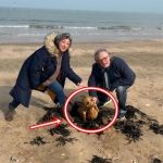 Người Anh xôn xao trước cảnh tượng lạ trên bãi biển: Sinh vật kỳ dị không giống người, chẳng phải cá avatar1742735913895 1742735914144666049707jpg