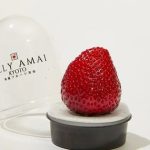 Quả dâu tây "siêu phẩm" giá nửa triệu gây tranh cãi trong giới thượng lưu avatar1742777580188 1742777580625566768201jpg