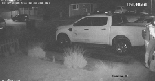 3 kẻ khả nghi tiến đến định trộm ô tô, chủ nhà vừa xuất hiện và làm 1 việc thì lập tức "chạy mất dép" avatar1742803756910 1742803757549355404770gifpng