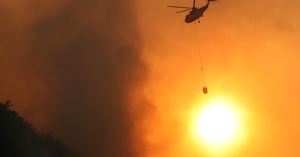 “Tại sao chuyện này lại xảy ra với bố tôi?”: Bi kịch cháy rừng kinh hoàng ở Hàn Quốc phơi bày một sự thật đau lòng avatar1742814261299 1742814261861496548070 53 0 402 559 crop 17428143214411619309351jpg