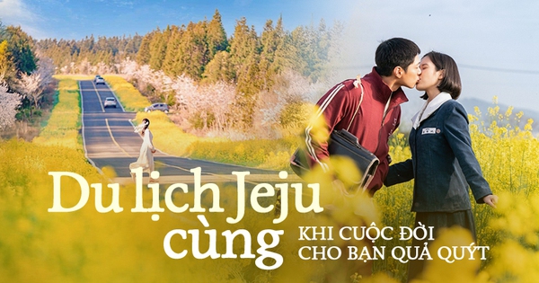 Có một Jeju đẹp nao lòng ở Khi Cuộc Đời Cho Bạn Quả Quýt, ai nhìn qua cũng đắm say cả đời avatar1742994721002 17429947221242040917087jpg