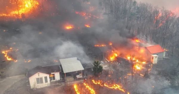 Khung cảnh hoang tàn tại Hàn Quốc sau một tuần đám cháy rừng bùng phát avatar1743064332626 17430643328901815583021 0 28 274 467 crop 1743064399752487385082png