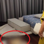 Thuê chung cư cùng bạn trai, cô gái có kết cục đau lòng avatar1743137803010 1743137803316827394494 0 53 315 557 crop 17431378225291810554821png