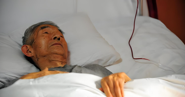 Bố qua đời để lại 21 tỷ đồng, tòa yêu cầu con gái phải chia đều tài sản cho 4 bác gái, họ hàng tuyên bố: 20% vẫn còn quá ít avatar1743176033785 17431760342801440709668png