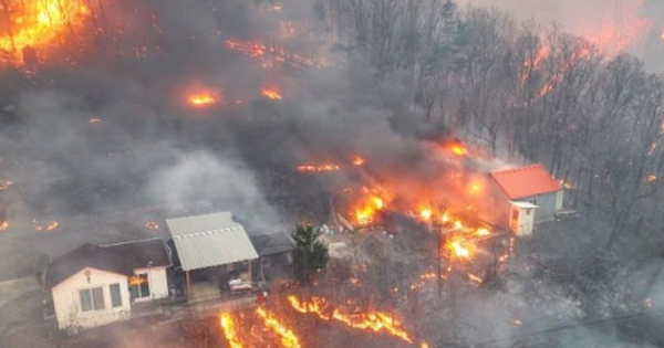 Cháy rừng ở Hàn Quốc bùng phát trở lại, số người thiệt mạng tăng lên 30 avatar1743238471197 1743238472178677427740 0 62 274 500 crop 1743238581684194825435jpg