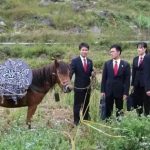 Phim thất bại ê chề vì chỉ bán được 1 vé, netizen mỉa mai "diễn tốt nhất là con ngựa" avatar1743297208057 17432972088122118179733 6 12 495 945 crop 1743297270036464724709jpg