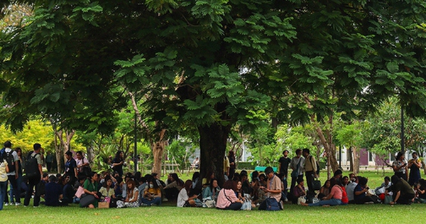 Bị cảnh báo động đất phải sơ tán khỏi các tòa nhà, dân văn phòng Thái Lan kéo nhau ra công viên làm việc tiếp avatar1743411561683 1743411561980115351955 0 35 315 539 crop 174341158249556168742jpg