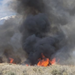 Cháy rừng tái bùng phát, lan rộng tại California avatar1743414915176 17434149154501433410454 0 83 274 522 crop 17434149327711290232295png