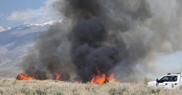 Cháy rừng tái bùng phát, lan rộng tại California avatar1743414915176 17434149154501433410454 0 83 274 522 crop 17434149327711290232295png