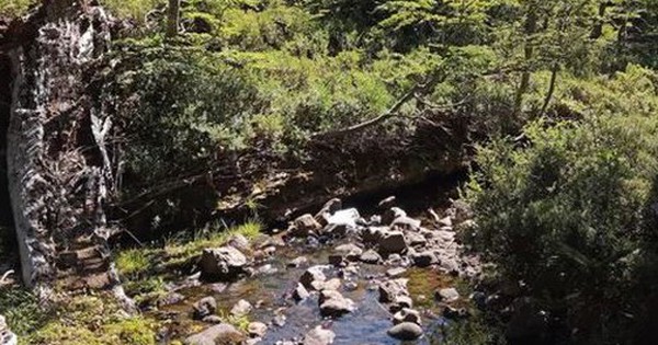 Loài vật quý hiếm bậc nhất thế giới, tuyệt tích hơn 120 năm bất ngờ "tái xuất" avatar1743484095525 1743484095921397660347 0 28 315 532 crop 1743484110558965149134jpg