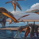 Loài quái vật chưa từng biết lộ diện ở Sa Kaeo - Thái Lan avatar1743567081178 1743567081672147160092 0 57 315 561 crop 17435671118771736115123png