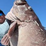 Ngư dân Florida câu được cá mú khổng lồ ở vùng nước sâu avatar1743596033646 17435960338541177329800 0 19 315 523 crop 17435960601981371815650jpg