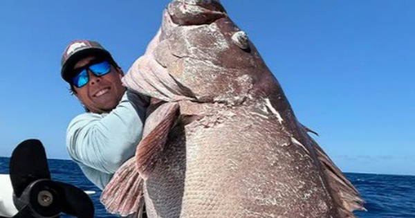 Ngư dân Florida câu được cá mú khổng lồ ở vùng nước sâu avatar1743596033646 17435960338541177329800 0 19 315 523 crop 17435960601981371815650jpg