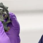 Phát hiện kho báu thời kỳ đồ sắt có thể viết lại lịch sử nước Anh avatar1743655258737 17436552590961177809927jpg