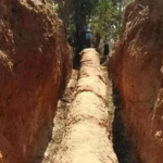 Công trường dừng thi công khẩn cấp vì phát hiện cây gỗ dài 30,5m, “cứng như đá”: Chuyên gia khẳng định "kho báu" này không dưới 503 tỷ đồng avatar1743751767392 1743751767797909899334png