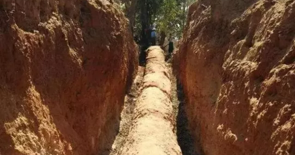 Công trường dừng thi công khẩn cấp vì phát hiện cây gỗ dài 30,5m, “cứng như đá”: Chuyên gia khẳng định "kho báu" này không dưới 503 tỷ đồng avatar1743751767392 1743751767797909899334png