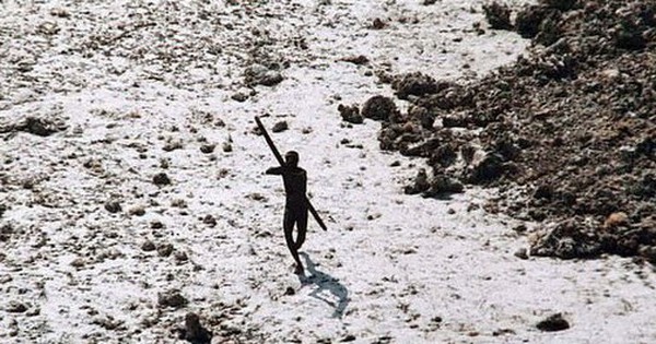 Một lon Coca-Cola do du khách để lại có thể xoá sổ cả một bộ lạc avatar1743753492434 174375349279037179608 0 42 315 546 crop 17437535426241482063125jpg