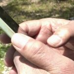 Ông lão U80 si tình đạp xe 80km để dỗ bạn gái quay lại avatar1743840101090 17438401015831395314032 0 59 274 498 crop 1743840138462442396746jpg