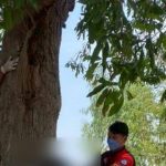 Con trai nói là lên đường đi lao động ở nước ngoài, vài ngày sau mẹ nhận tin dữ từ họ hàng avatar1744244631367 1744244631870849302848jpg