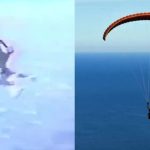 Những lời cuối ám ảnh của người đàn ông khi nhận ra mình quên đeo dù sau khi nhảy ra khỏi máy bay từ độ cao 3.200 mét avatar1744276694723 1744276696162558469294 0 62 675 1142 crop 1744276709309478016261jpg