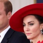 William và Kate bất đồng avatar1744388261247 1744388261362731834777 0 44 315 548 crop 17443882798731860992910jpg