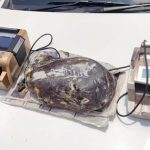 Phát hiện "vàng nổi" trị giá 30 tỷ đồng trên chiếc xe ô tô avatar1744454836120 17444548364521310373424 0 43 315 547 crop 17444548538961977502922jpg