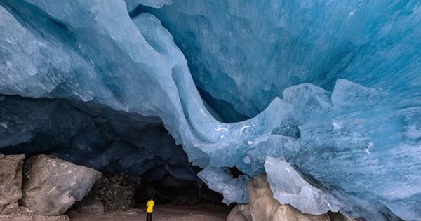 Một người đàn ông đi vào hang động và vô tình phát minh ra cả một lĩnh vực sinh học avatar1744621219365 1744621219584283086252 0 52 315 556 crop 17446212439482117211818jpg