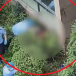 Đang cãi nhau, chồng “nổi điên” ôm vợ nhảy qua lan can tầng 27 xuống đất avatar1744625355577 1744625355752998910335png