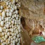 Đang đào mương dẫn nước, "kho báu" 480 triệu năm tuổi bất ngờ lộ diện: Kì quan có 1-0-2 ở Trung Quốc avatar1744706247251 17447062475581889317128png