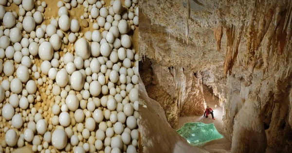 Đang đào mương dẫn nước, "kho báu" 480 triệu năm tuổi bất ngờ lộ diện: Kì quan có 1-0-2 ở Trung Quốc avatar1744706247251 17447062475581889317128png