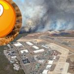 Đây mới là mối đe dọa khiến cháy rừng tồi tệ hơn đang lặng lẽ lan rộng: Không phải nắng hay gió, thủ phạm nhỏ đến mức giật mình avatar1744766750424 17447667505191693340093 0 21 315 525 crop 1744766766776535666780jpg