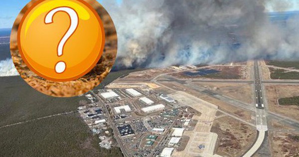 Đây mới là mối đe dọa khiến cháy rừng tồi tệ hơn đang lặng lẽ lan rộng: Không phải nắng hay gió, thủ phạm nhỏ đến mức giật mình avatar1744766750424 17447667505191693340093 0 21 315 525 crop 1744766766776535666780jpg