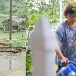 3 nghệ sĩ rời phố thị về Thạch Thất sống an yên tại nhà vườn rộng lớn, có nữ NSND mới 43 tuổi avatar1744776059836 17447760603531947586893 49 0 363 600 crop 1744776130578376437297png