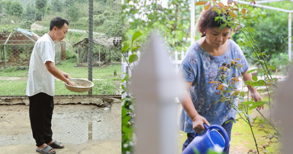 3 nghệ sĩ rời phố thị về Thạch Thất sống an yên tại nhà vườn rộng lớn, có nữ NSND mới 43 tuổi avatar1744776059836 17447760603531947586893 49 0 363 600 crop 1744776130578376437297png