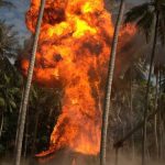 Lý Hải đốt nguyên rừng dừa avatar1744783143226 1744783143998527360941 0 0 314 600 crop 17447832138681943247650jpg