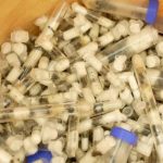 Hai thiếu niên bị bắt giữ vì vận chuyển lậu 5.000 con kiến avatar1744887684323 17448876853621952939007jpg