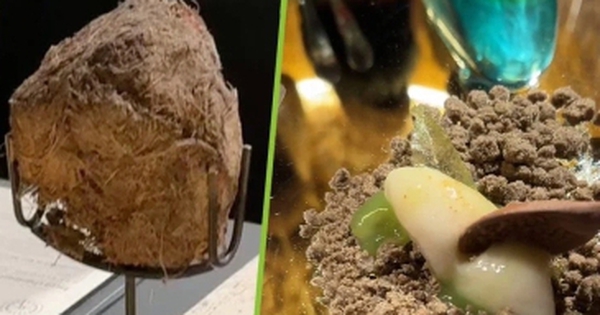 Nhà hàng phục vụ món tráng miệng từ phân voi trong suất ăn 13 triệu đồng avatar1744890666049 17448906664991143945508 8 235 236 600 crop 1744890703994888188224jpeg