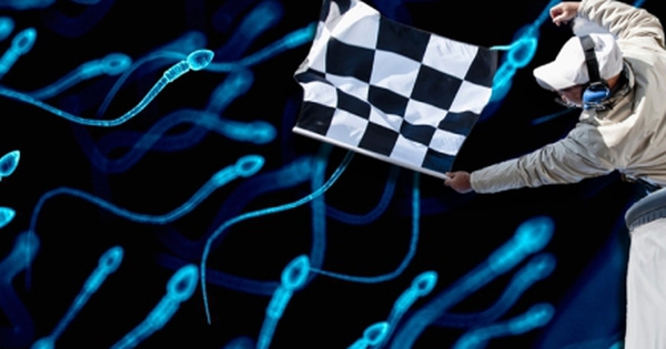 Nhóm triệu phú Mỹ livestream cuộc đua tinh trùng đầu tiên trên thế giới avatar1744936876280 17449368764201049681120 0 128 272 564 crop 17449369098041602127047jpg