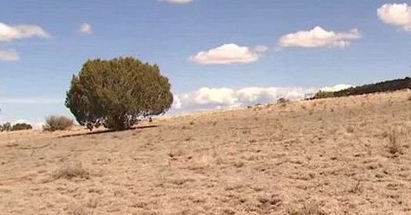 Đi lạc giữa sa mạc đầy sư tử suốt đêm, bé 2 tuổi sống sót nhờ điều này avatar1744955359014 17449553592992027415943 0 25 315 529 crop 17449553791461208574448jpg