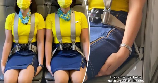 Vì sao các tiếp viên hàng không có tư thế “kỳ quặc” ngồi lên tay mình khi cất cánh và hạ cánh? avatar1745044030505 1745044030747112681428 42 0 682 1024 crop 174504404778060870449jpg