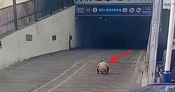 Ông nội đón cháu trai tan học nhưng lại không về thẳng nhà, camera ghi lại khoảnh khắc kinh hoàng avatar1745050977256 1745050977539719393178 102 164 318 510 crop 1745051032297749126454png