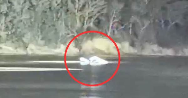 Máy bay trực thăng lại rơi xuống sông ở Mỹ, 3 hành khách thiệt mạng avatar1745067836490 17450678370561926674674jpg