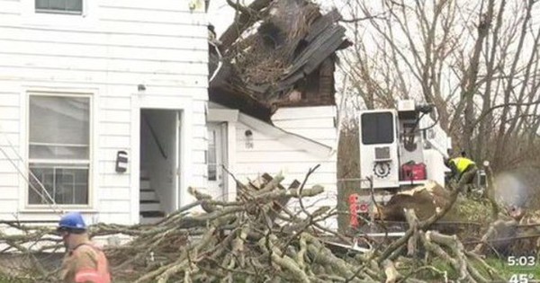 Cây đổ vào nhà, nam thanh niên 21 tuổi tử vong khi đang ngủ avatar1745123877231 1745123877380679780273 0 34 315 538 crop 1745123893078630161646jpg