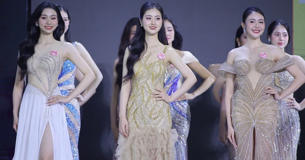 Mãn nhãn chung khảo Hoa hậu Việt Nam 2024 avatar1745207289419 17452072902091261916361 0 0 314 600 crop 1745207460569705909915jpeg