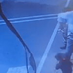 39 triệu người lặng người khi chứng kiến hình ảnh cậu bé lao ra đường khi xe tải đang lao tới, bố ôm đầu phản ứng đầy bất lực avatar1745285833032 1745285833537776908331 19 0 238 350 crop 17452858381031856149670gifpng