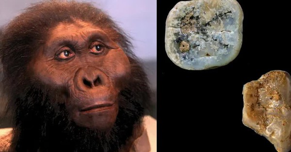 Phát hiện mới đảo lộn quan niệm về trí tuệ người cổ đại avatar1745301368774 1745301369154824503504jpg