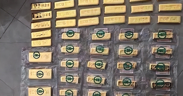 Phát hiện 38kg vàng thỏi và 71 tỷ đồng tiền mặt trong căn nhà thuê avatar1745403515038 17454035152881772782623 58 0 787 1166 crop 17454035302421339596243jpeg