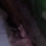 Tường nhà bất ngờ "nhả ra" đầy tiền, kết luận cuối của cảnh sát khiến gia chủ dở khóc dở cười avatar1745489390973 17454893912771001486701gifpng