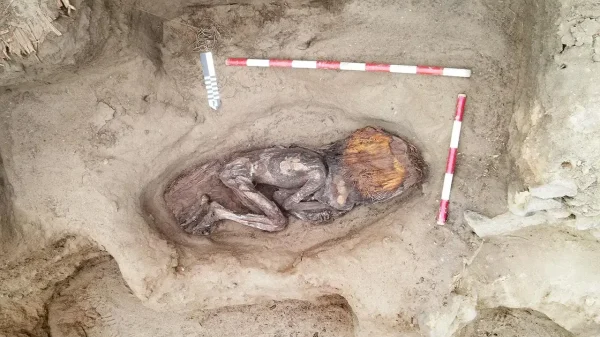 Phát hiện hài cốt phụ nữ thượng lưu có niên đại 5.000 năm ở Peru avatar1745750339183 1745750339783247957931