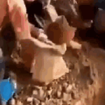 Người nông dân phát hiện ngọn núi 60-90% đất có vàng, xúc ra liền thấy avatar1745844602820 1745844603592386747646 406 0 626 352 crop 1745844628708392655155gifpng